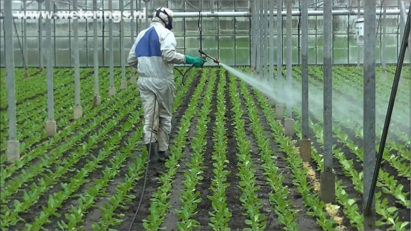 TDMS Talk by Kyle Stewart - Watercress, Nappies and GP Trainees