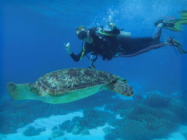 Dr Doug Watt - Diving Medicine and Hyperbaric Oxygen Therapy - TDMS February Speaker